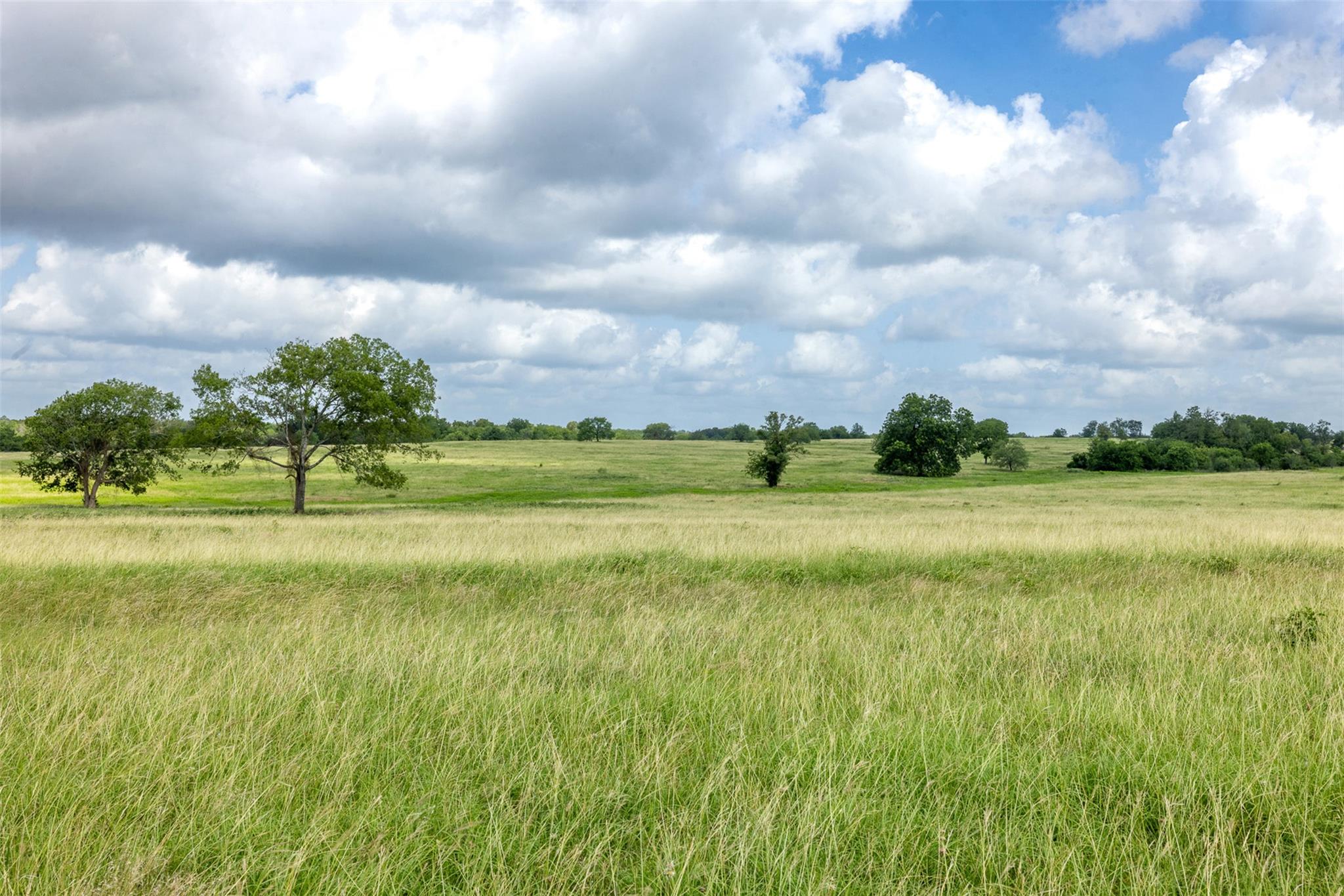 4046 State Highway 21 Caldwell TX 77835