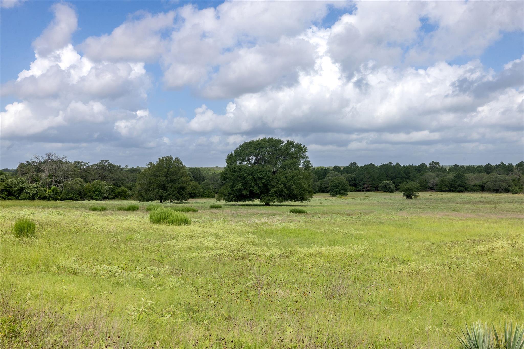 4046 State Highway 21 Caldwell TX 77835