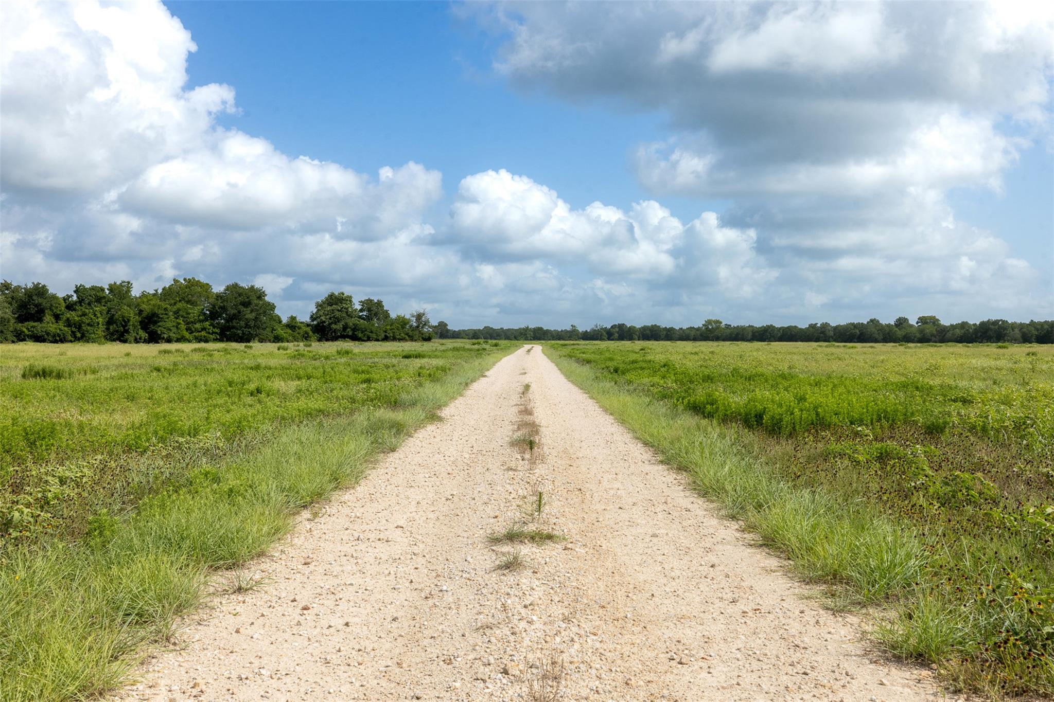 4046 State Highway 21 Caldwell TX 77835