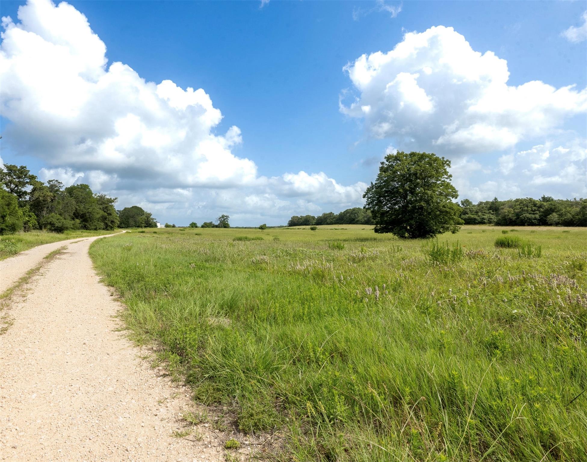 4046 State Highway 21 Caldwell TX 77835