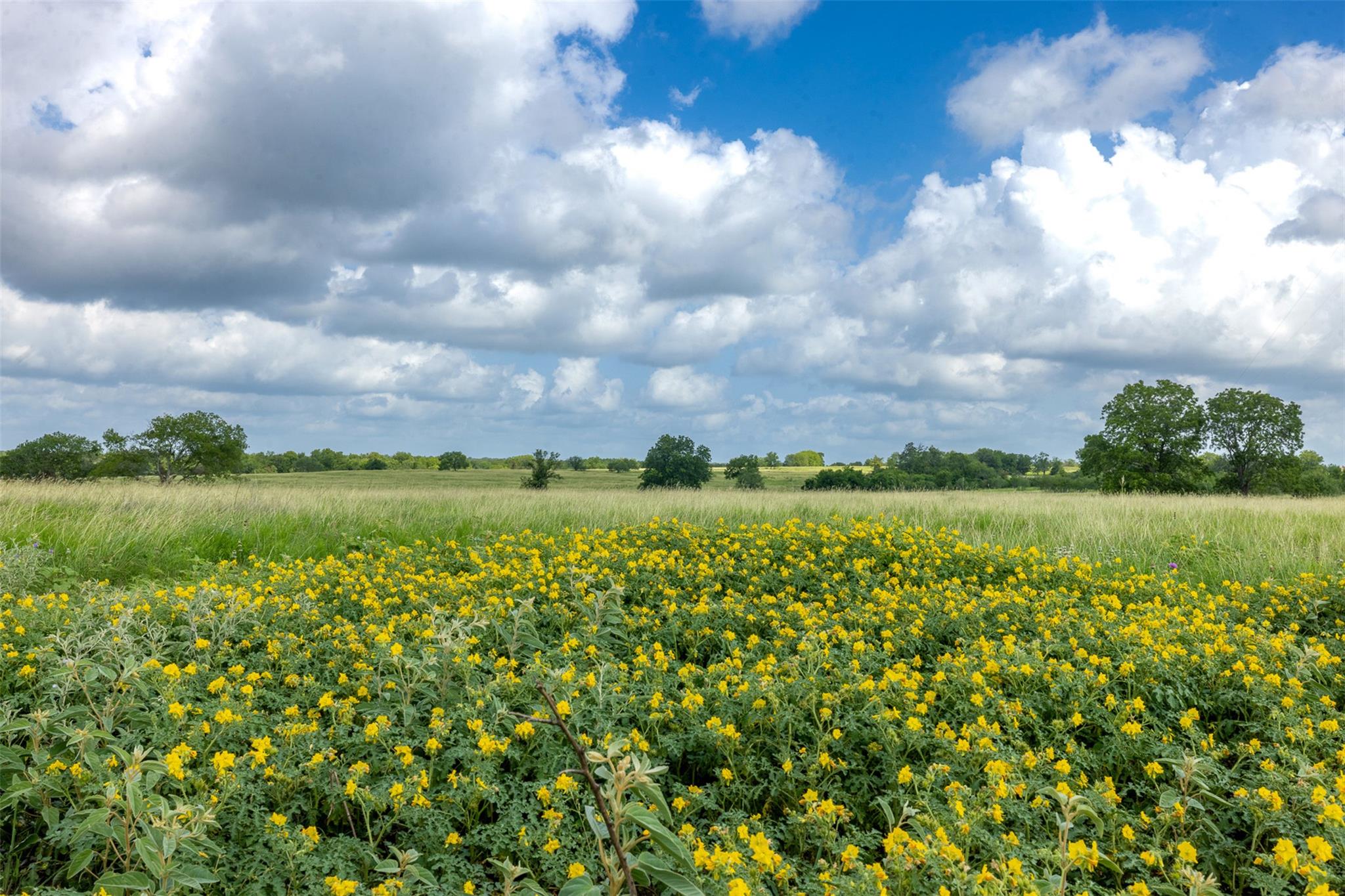 4046 State Highway 21 Caldwell TX 77835
