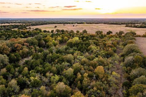 000 Tbd 17+/- Ac Grassyville Road Paige TX 78659