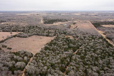 000 Tbd 17+/- Ac Grassyville Road Paige TX 78659