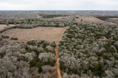 000 Tbd 17+/- Ac Grassyville Road Paige TX 78659