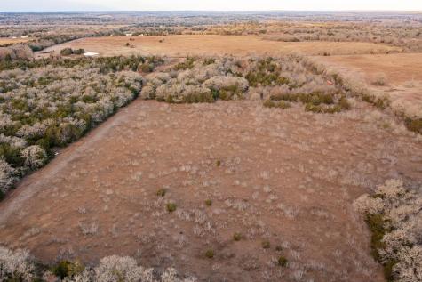 000 Tbd 17+/- Ac Grassyville Road Paige TX 78659