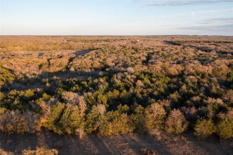 000 Tbd 17+/- Ac Grassyville Road Paige TX 78659