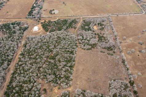 000 Tbd 17+/- Ac Grassyville Road Paige TX 78659