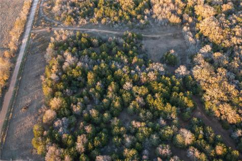 000 Tbd 17+/- Ac Grassyville Road Paige TX 78659