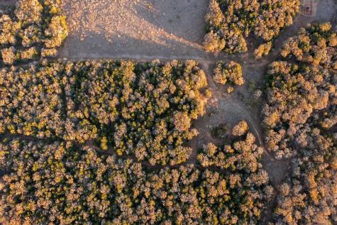000 Tbd 17+/- Ac Grassyville Road Paige TX 78659