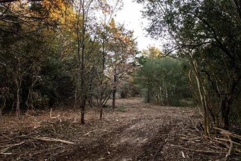 000 Tbd 17+/- Ac Grassyville Road Paige TX 78659