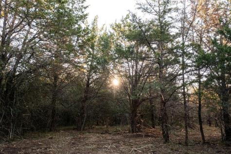 000 Tbd 17+/- Ac Grassyville Road Paige TX 78659