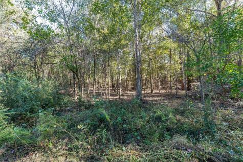 380 An County Road 370 Palestine TX 75801