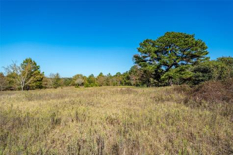 380 An County Road 370 Palestine TX 75801