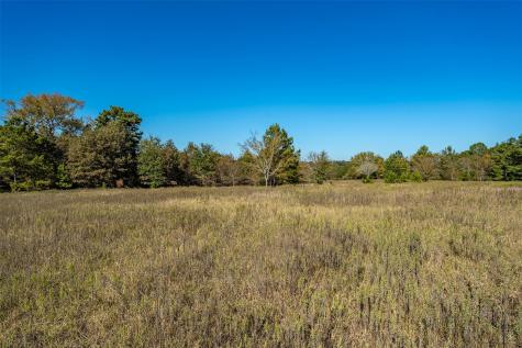 380 An County Road 370 Palestine TX 75801