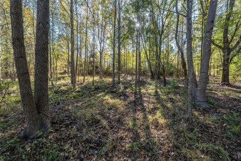 380 An County Road 370 Palestine TX 75801