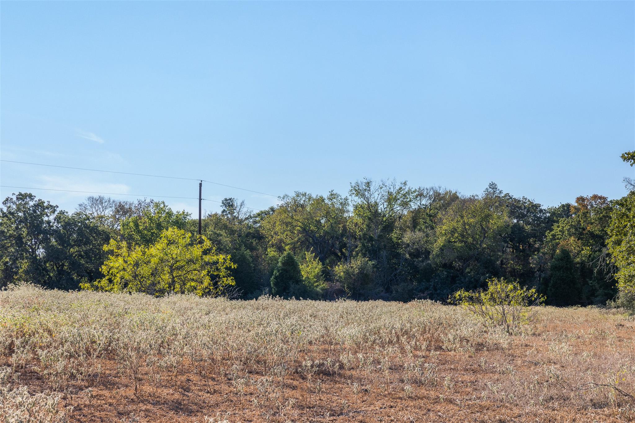 Tbd Fm 696, Tract 1 Elgin TX 78621