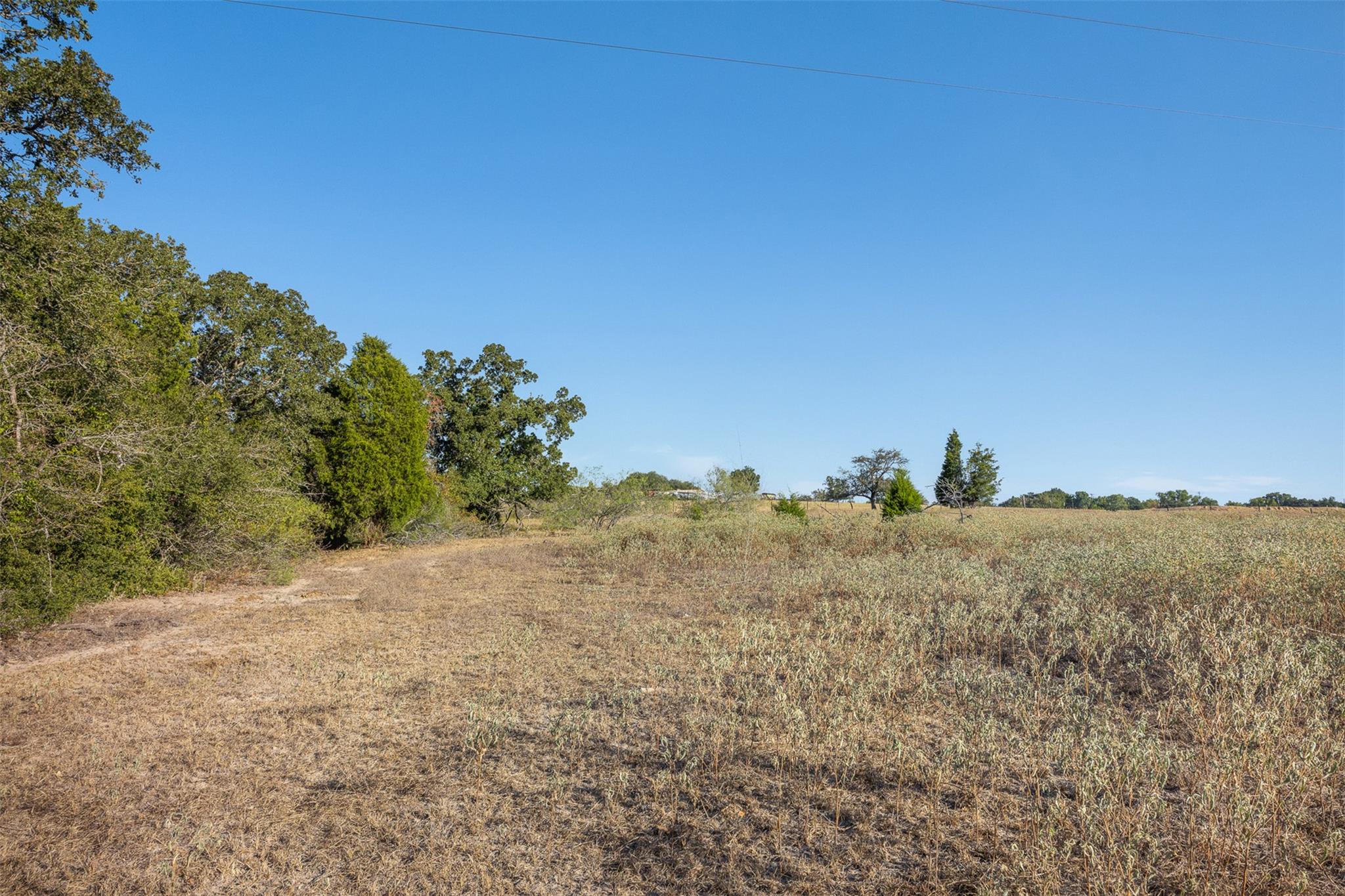 Tbd Fm 696, Tract 1 Elgin TX 78621