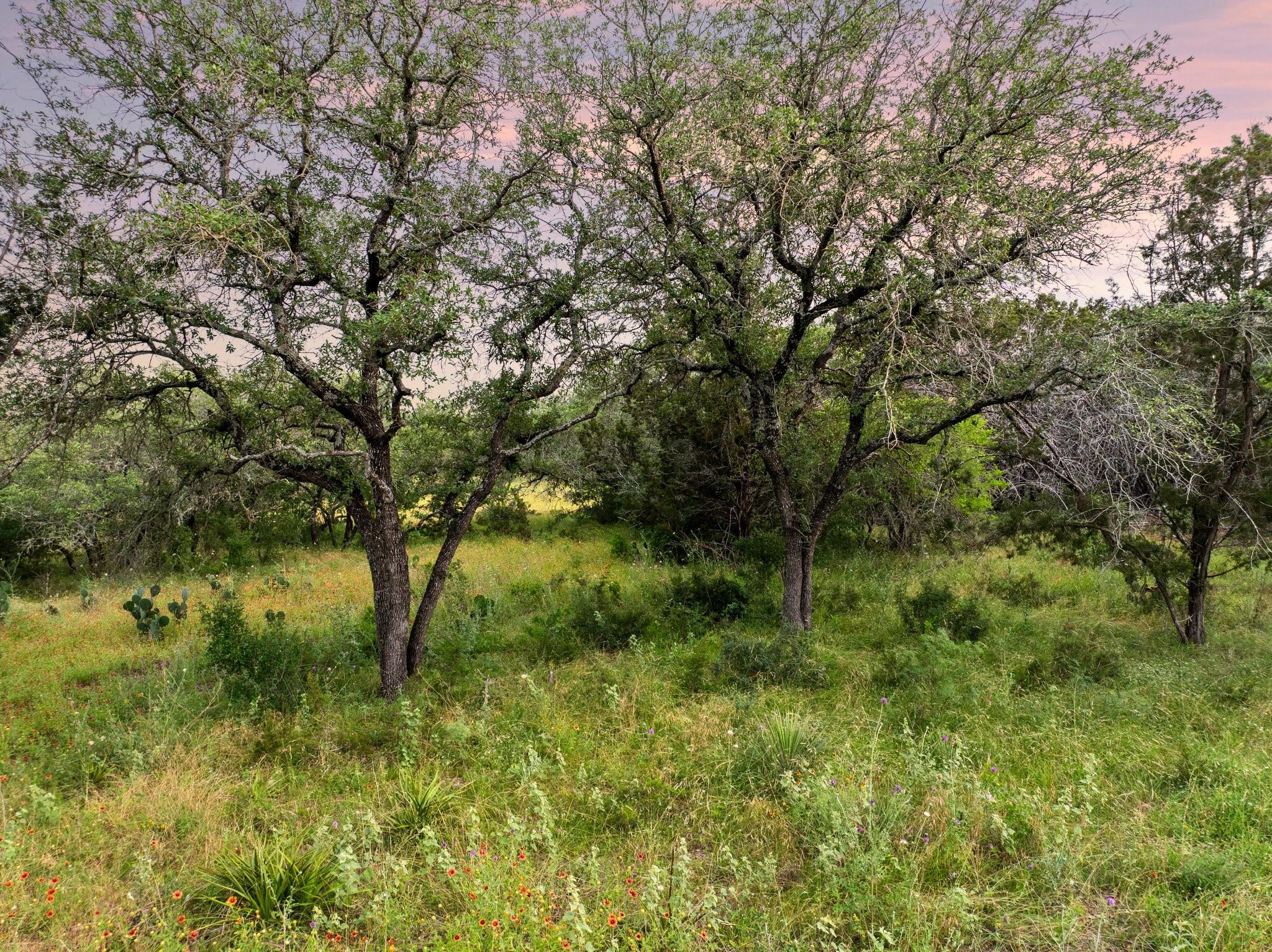 2308 County Road 414 Spicewood TX 78669