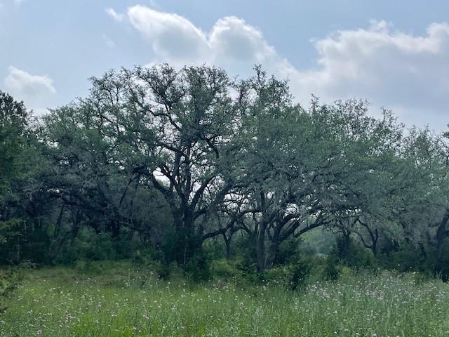 2308 County Road 414 Spicewood TX 78669