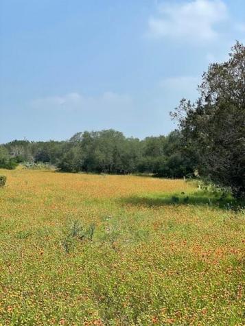 2308 County Road 414 Spicewood TX 78669
