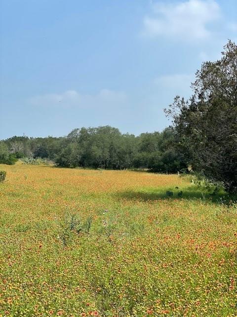 2308 County Road 414 Spicewood TX 78669