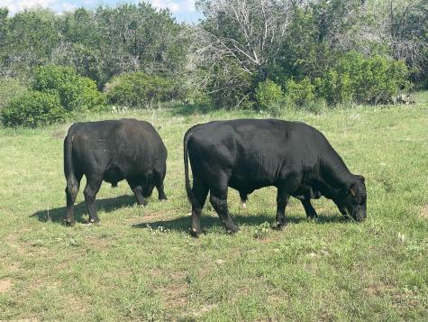 2308 County Road 414 Spicewood TX 78669
