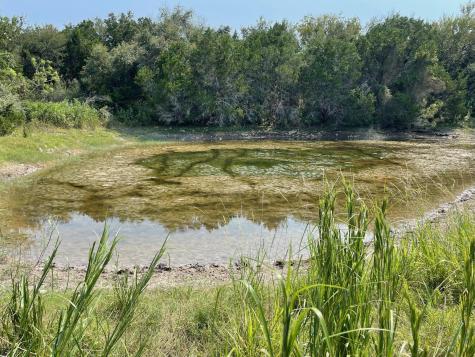 2308 County Road 414 Spicewood TX 78669