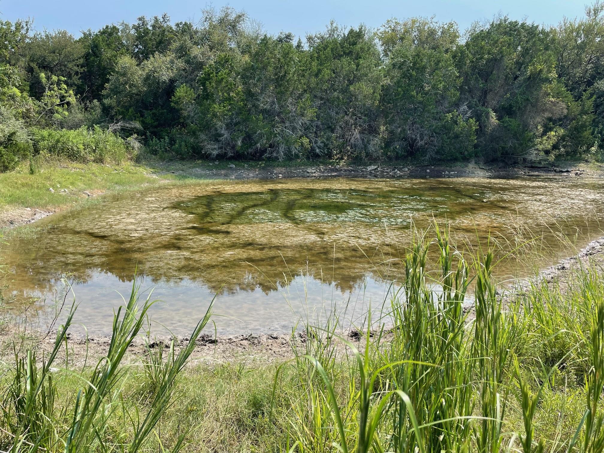 2308 County Road 414 Spicewood TX 78669