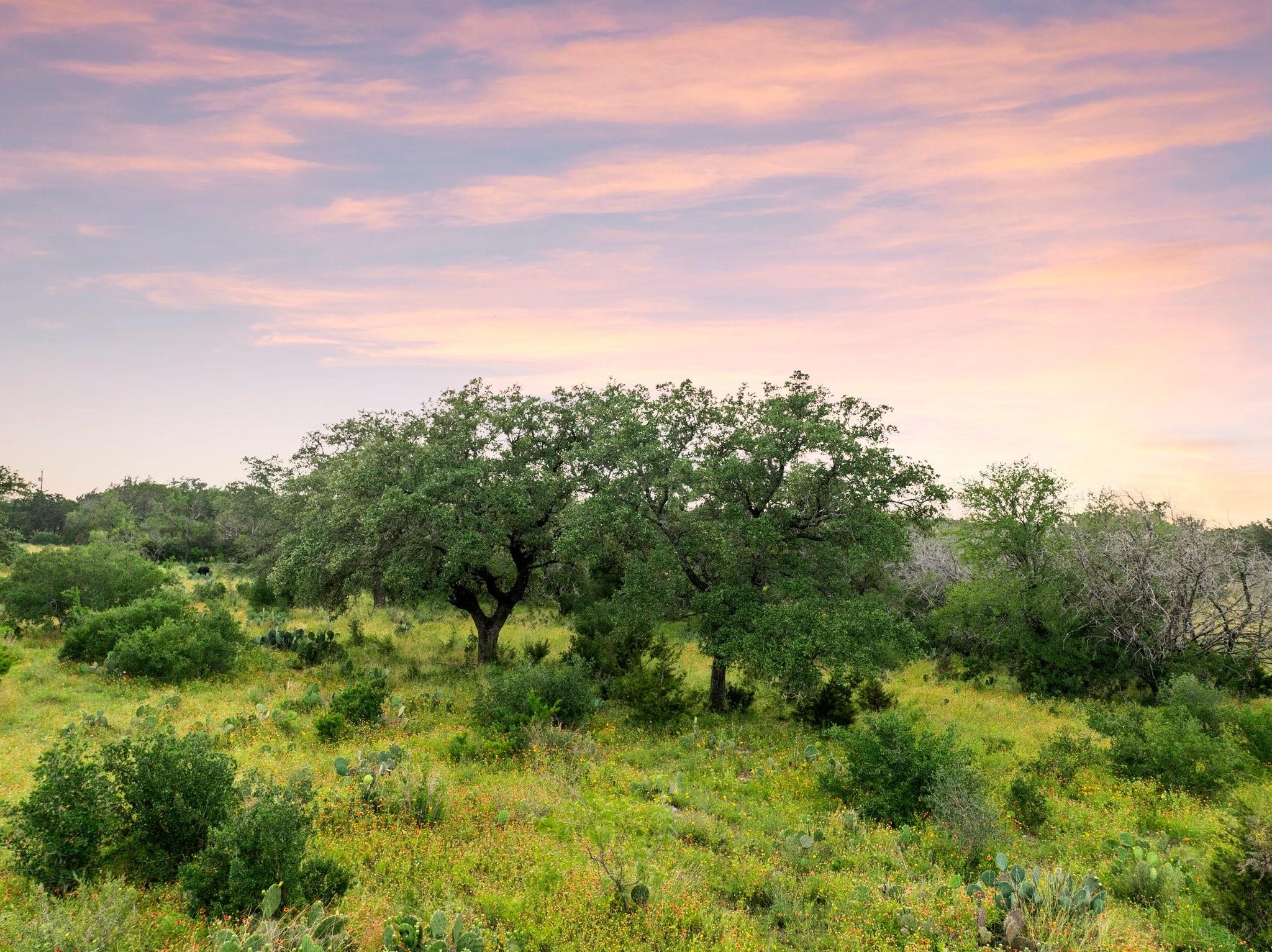 2308 County Road 414 Spicewood TX 78669