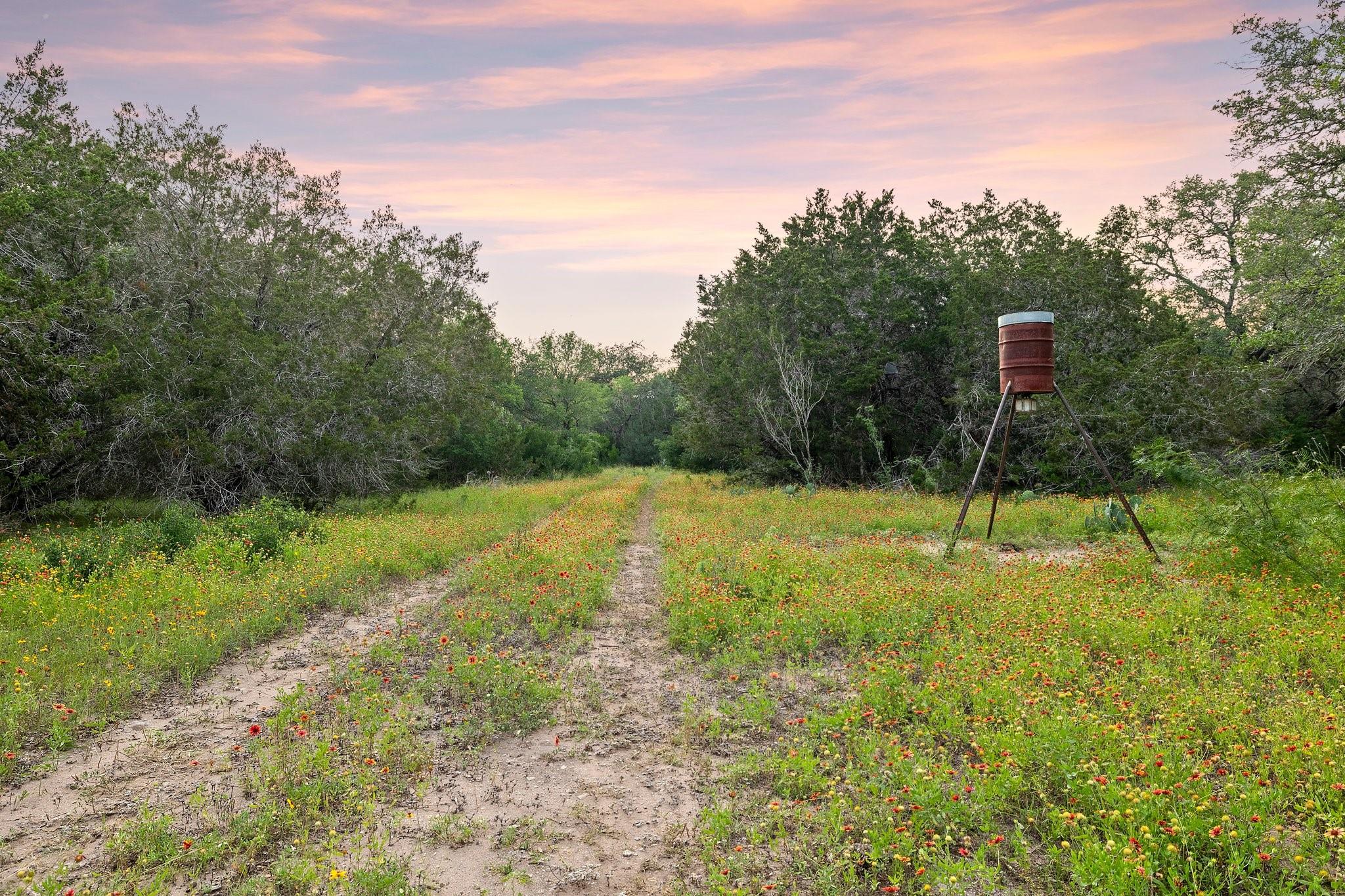 2308 County Road 414 Spicewood TX 78669