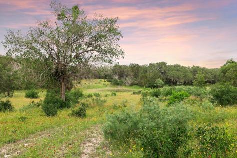 2308 County Road 414 Spicewood TX 78669