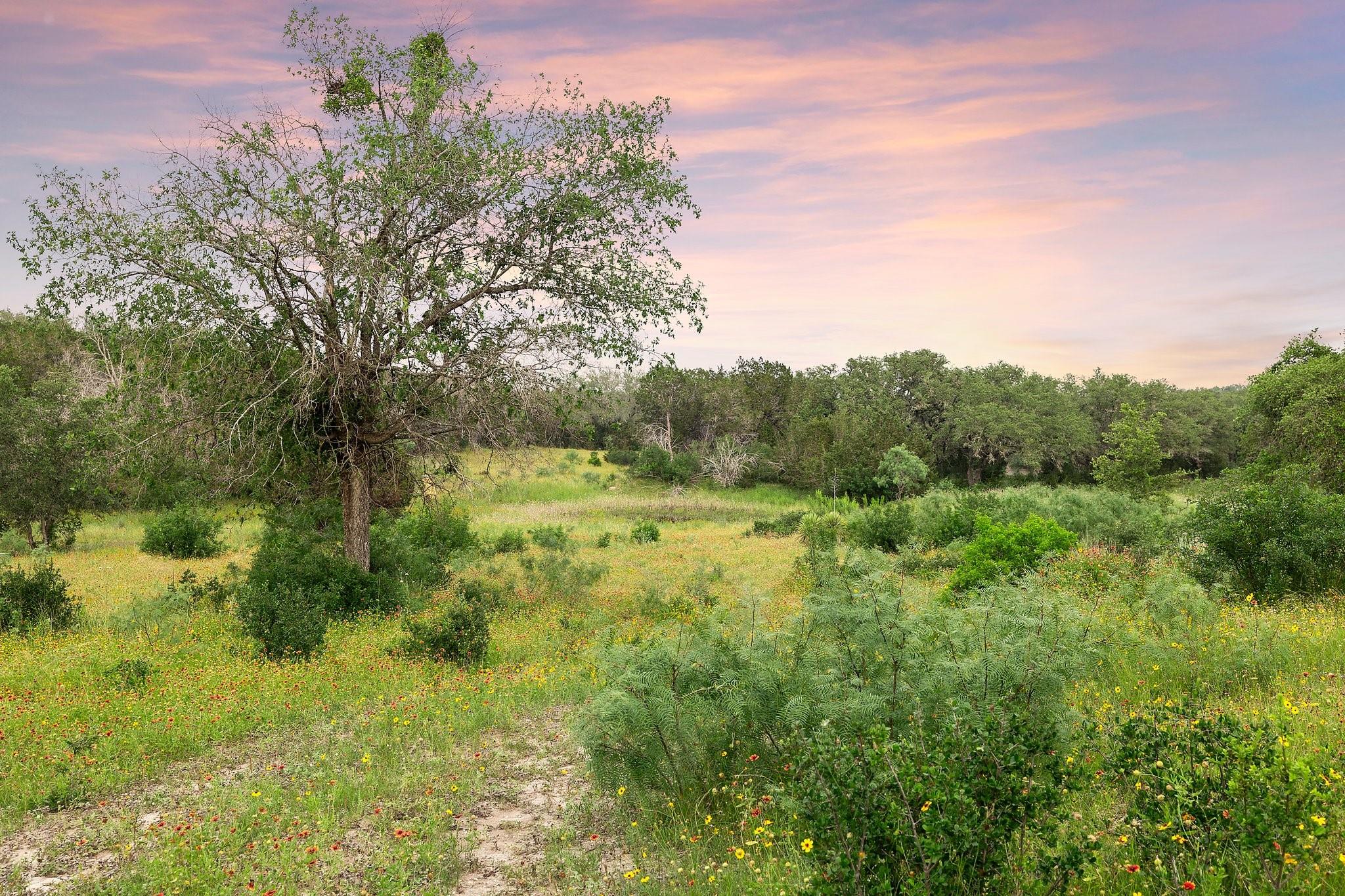 2308 County Road 414 Spicewood TX 78669
