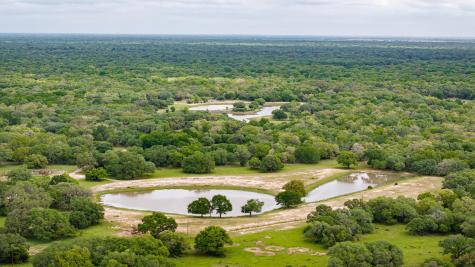 3814 Cr 19 Hallettsville TX 77964