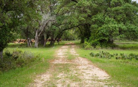 3814 Cr 19 Hallettsville TX 77964
