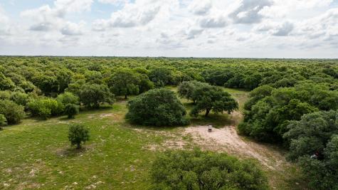 3814 Cr 19 Hallettsville TX 77964