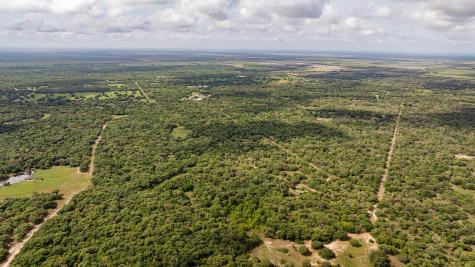3814 Cr 19 Hallettsville TX 77964