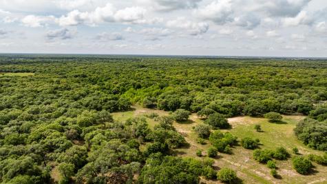 3814 Cr 19 Hallettsville TX 77964