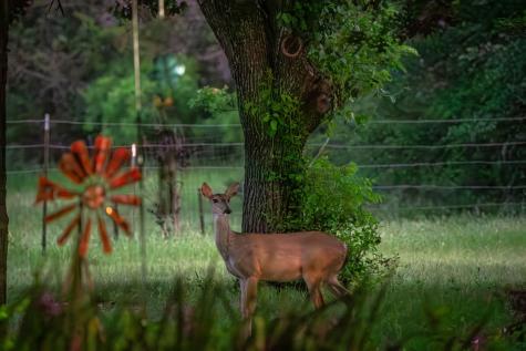 1618 County Road 2480 Iredell TX 76457