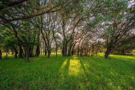 1618 County Road 2480 Iredell TX 76457