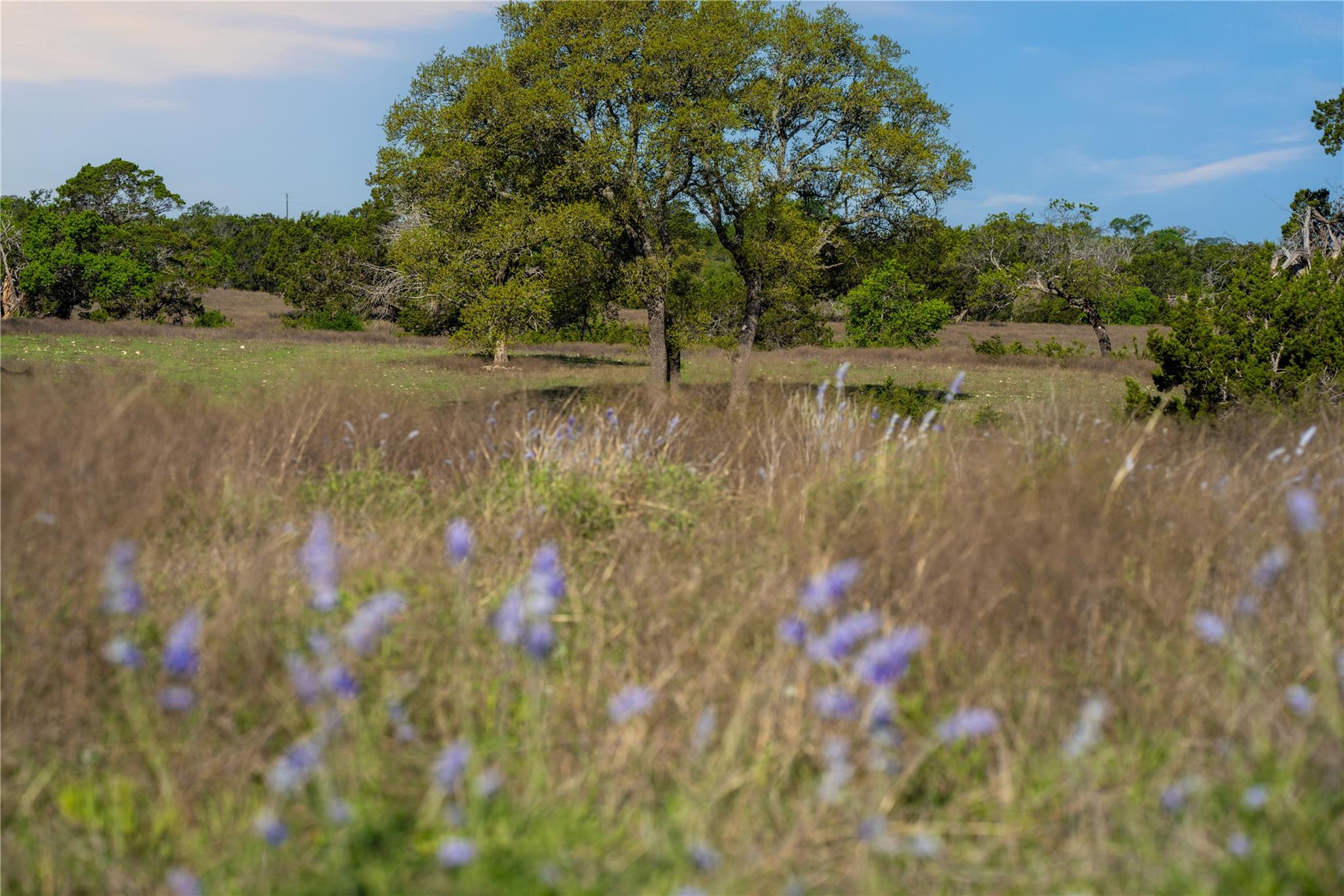 5525 Fm2340 Road Burnet TX 78611