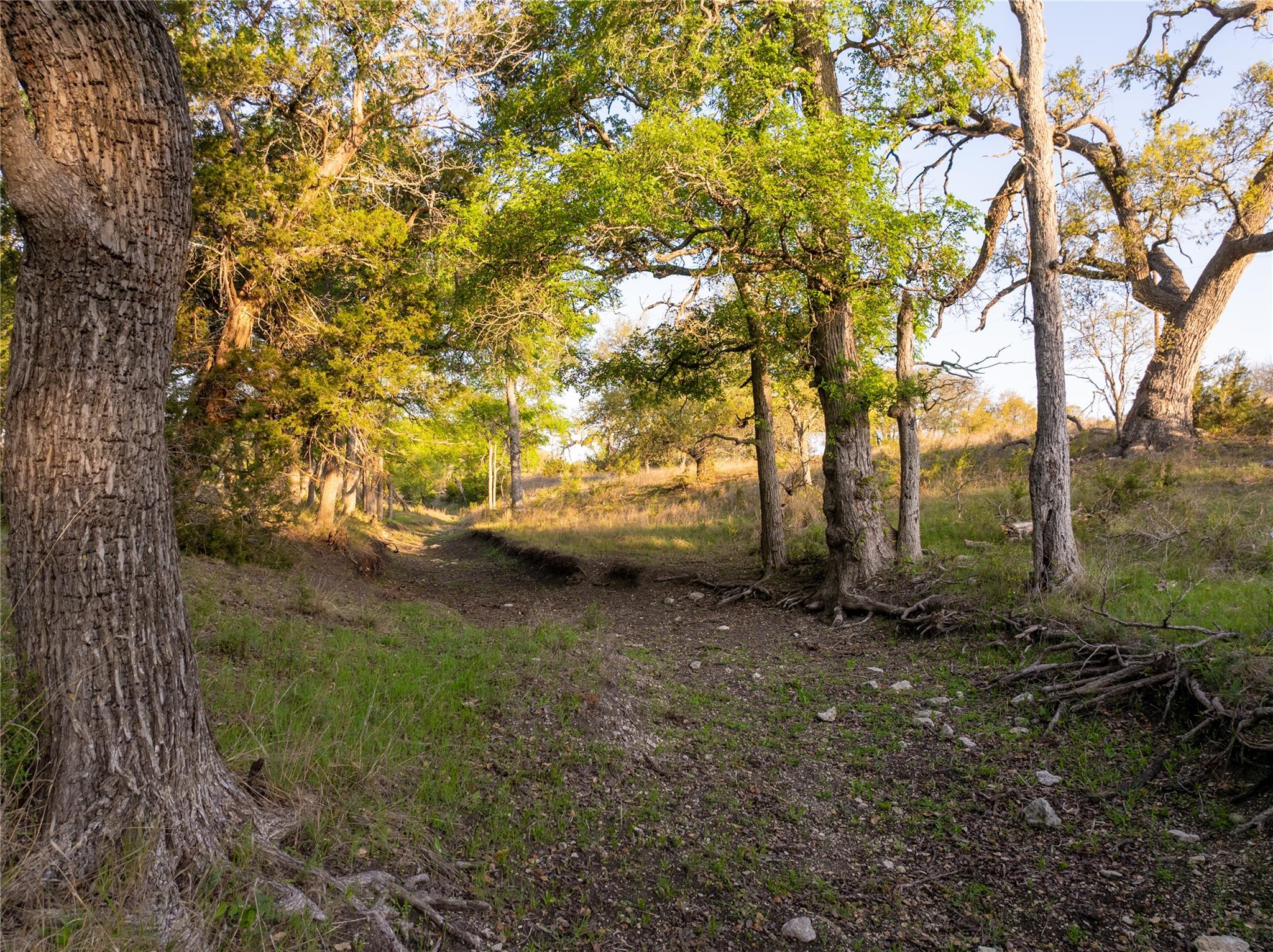 5525 Fm2340 Road Burnet TX 78611