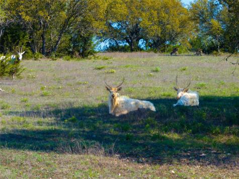 5525 Fm2340 Road Burnet TX 78611