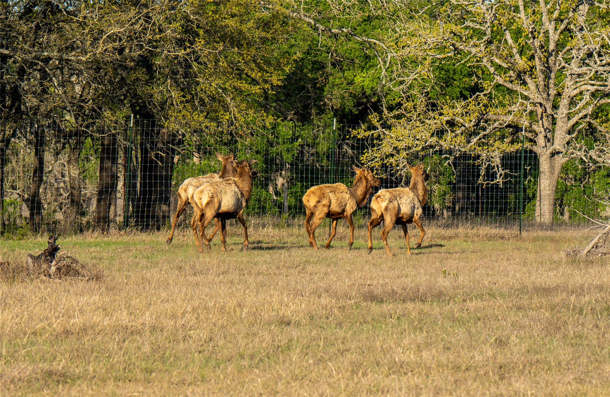 5525 Fm2340 Road Burnet TX 78611