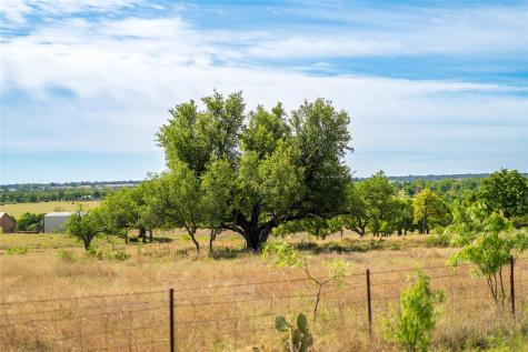 12350-65 N Highway 16 Highway Fredericksburg TX 78624
