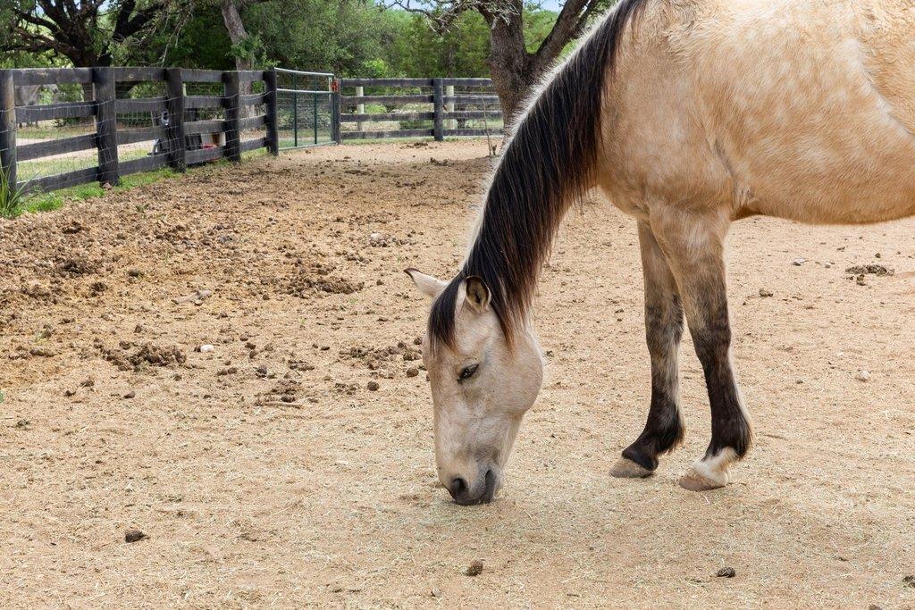3830 Outback Trail Spicewood TX 78669