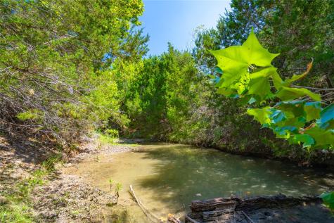564 Bluff Springs Drive Driftwood TX 78619