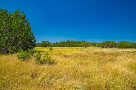 564 Bluff Springs Drive Driftwood TX 78619