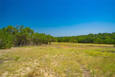 564 Bluff Springs Drive Driftwood TX 78619