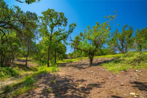 564 Bluff Springs Drive Driftwood TX 78619