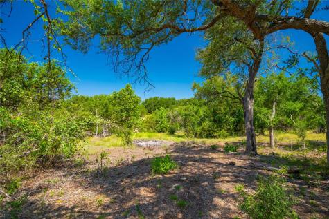 564 Bluff Springs Drive Driftwood TX 78619